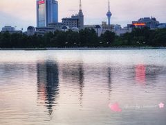 -莲花池公园