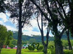 -东南花都花博园