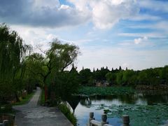 -无锡蠡湖国家湿地公园-蠡园