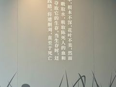 -北京鲁迅博物馆(北京新文化运动纪念馆鲁博馆区)