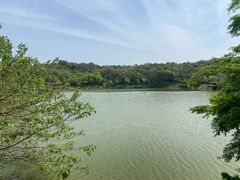 -宜兴龙背山森林公园