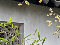 -拙政园