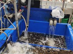 -NSK Trade City(Kuchai Lama)