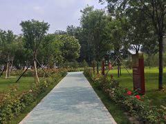 -北京大葆台遗址博物馆