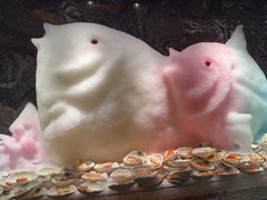 -雍容荟活波龙自助餐(IFS黑金店)