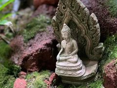 -泰悠谷养生SPA(世茂商业街店)