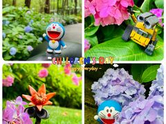 -上海滨江森林公园