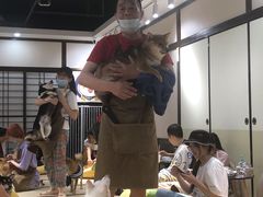 -逗柴咖啡屋·狗咖猫咖宠物桌游