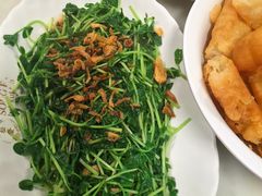 豆苗-松發肉骨茶(牛车水店)