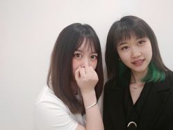 -YESIDO椰岛造型