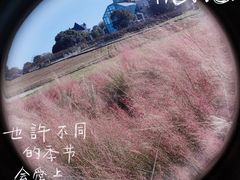 -花博汇(知音花月夜)