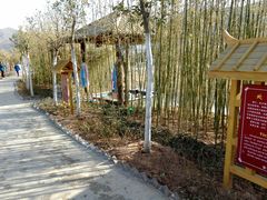 android_upload_pic-灵山莲花公园-温泉度假区