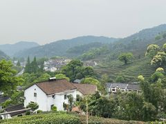 -礼耕堂·百年茶人餐厅(梅家坞店)