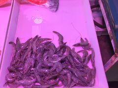 -韩家墅海吉星农产品批发市场