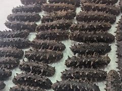 -宫品海参专卖店(黄浦老西门店)