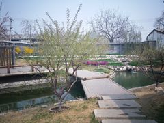-春风习习
