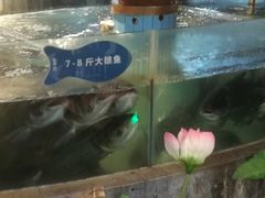 -坛宗剁椒鱼头(河西王府井店)