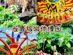 -长鹿旅游休博园