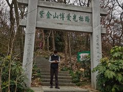 -紫金山山顶公园
