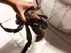 -海盗餐厅