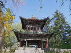 -迎泽公园