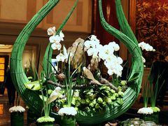 -荷兰布尔玛国际花艺学院