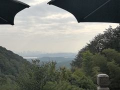 -韬光茶庵