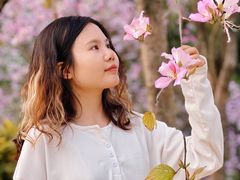 -南国桃园旅游度假区