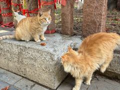 -四门塔风景区