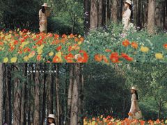 -上海共青森林公园