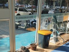 -天使宠物医院·犬猫分诊(彩虹店)