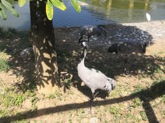 -泉州海丝野生动物世界