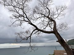 -Brew Farm·精酿农场海滨悬崖餐厅
