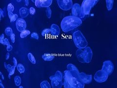 -长春中泰海洋世界