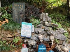 -杭州半山国家森林公园