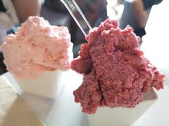 -野人牧坊Gelato(天津南开大悦城店)