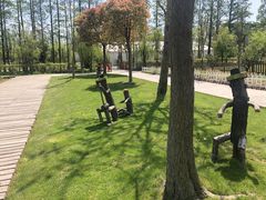 -前小桔亲子创意农场·草莓采摘·露营烧烤