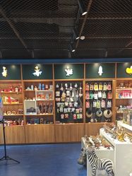 -飞览天下沉浸式飞行体验(北京旗舰店)