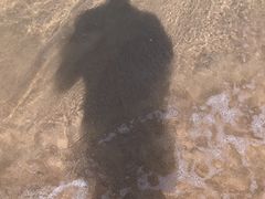 -月亮湾