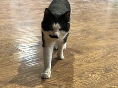 -酷鱼垂钓CLUB(朝阳区博大路店 )