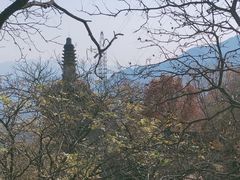 -北京凤凰岭