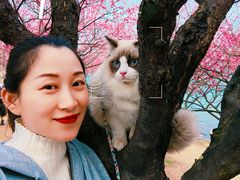 -食膳公园包子铺(烈士公园店)