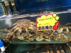 -蚝专家(北滘店)