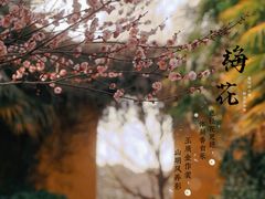 -苏州上方山国家森林公园