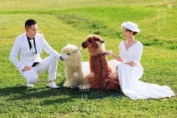 点击看大图 -太古映画婚纱摄影(天河店)