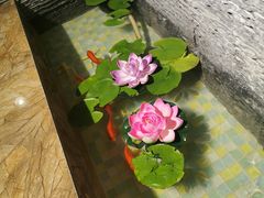 -宽窄巷子火锅(周浦店)