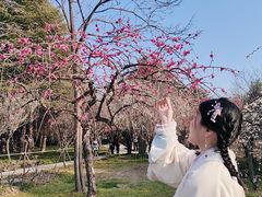 -郑州植物园