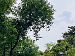 -元大都城垣遗址公园