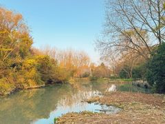 -西溪国家湿地公园