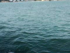-鼓浪屿内厝澳码头(轮渡站)